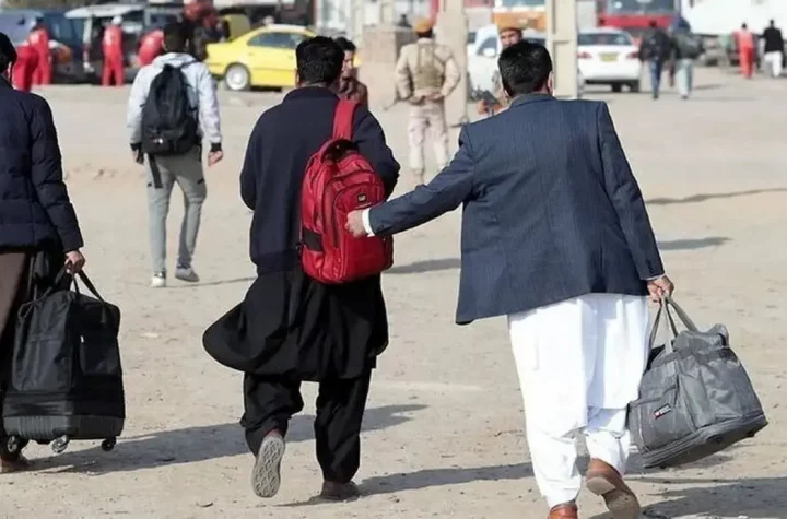 جمعیت اتباع در استان البرز به اندازه یک‌ شهرستان‌ شد