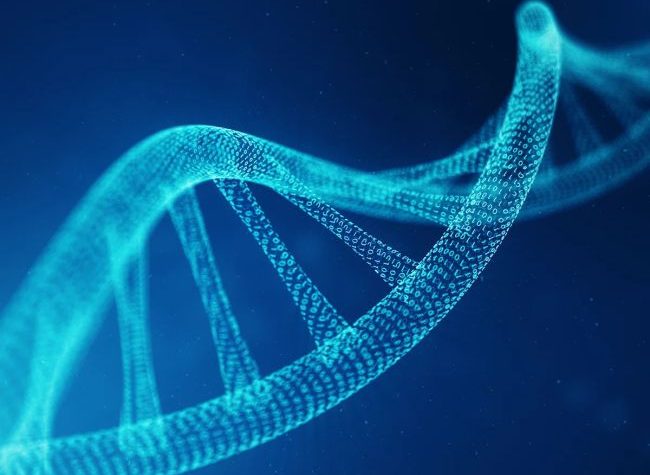 دانشمندان برای ذخیره سازی داده‌ها از DNA استفاده کردند