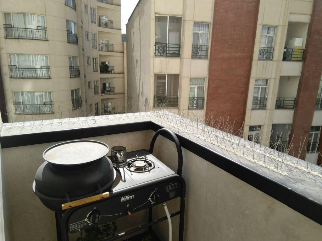 تاثیر شاخک پرنده پران در تمیزی ساختمان