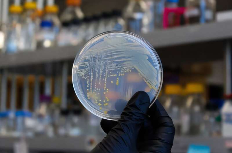 تنوع شگفت‌انگیز میکروب‌ها و نقش ویتامین‌ها در شکل‌دهی خاک