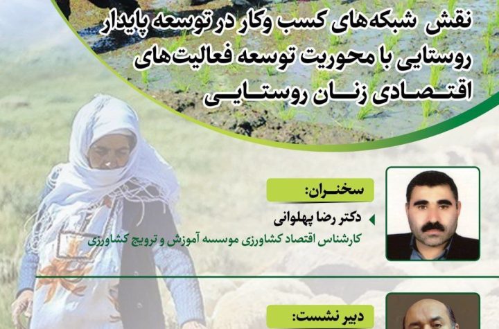 نقش شبکه های کسب و کار در توسعه پایدار روستایی؛ با محوریت توسعه فعالیت های اقتصادی زنان روستایی