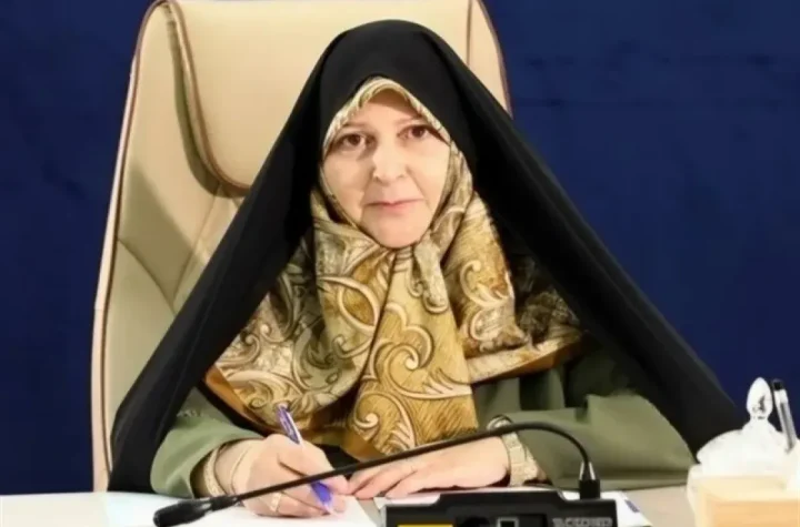 لایحه دائمی مولدسازی اموال دولت در دست تدوین است