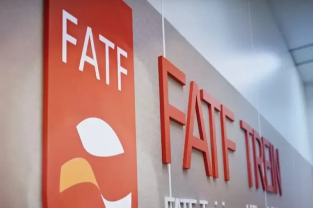 معاون وزیر اقتصاد: FATF می‌تواند ابزار خنثی‌سازی تحریم باشد