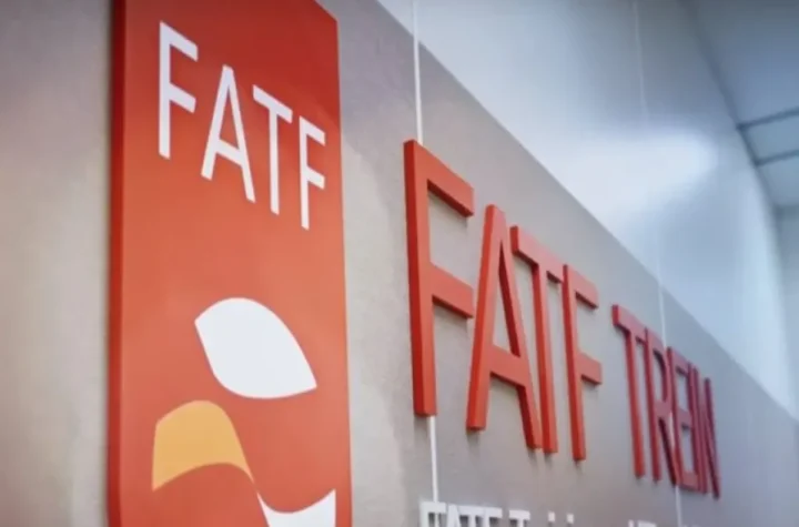 معاون وزیر اقتصاد: FATF می‌تواند ابزار خنثی‌سازی تحریم باشد