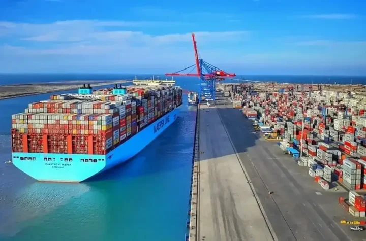 واردات کالاهای اساسی