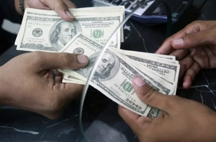 جلسه هم‌اندیشی مجلس با فرزین درباره ارز برگزار شد